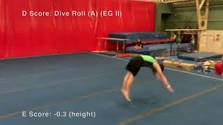 Floor - NAIGC Intermediate - Judged Routine