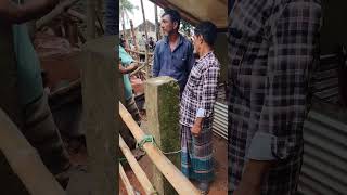 গাভী গরু কত বিক্রি হলো দেখুন #duet #bullfarm #unfrezzmyaccount #cattledisease #animals