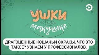 Ушки на макушке, с Анной Рудаковой, 23 выпуск.