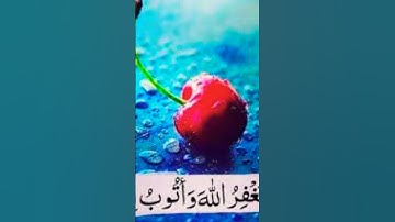 #القرآن_الكريم #اكسبلور #المصحف سورة الذاريات ❤️