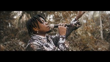 KING PERRYY -  AFRICAN BOY (OFFICIAL VISUALIZER)
