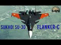 Sukhoi Su-30 (Flanker-C) ⚔️ Russian Supermaneuverable Fighter Aircraft [Review]