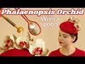 Phalaenopsis moth orchid silk hand made flower tutorial  millinery flower trims  hat trims