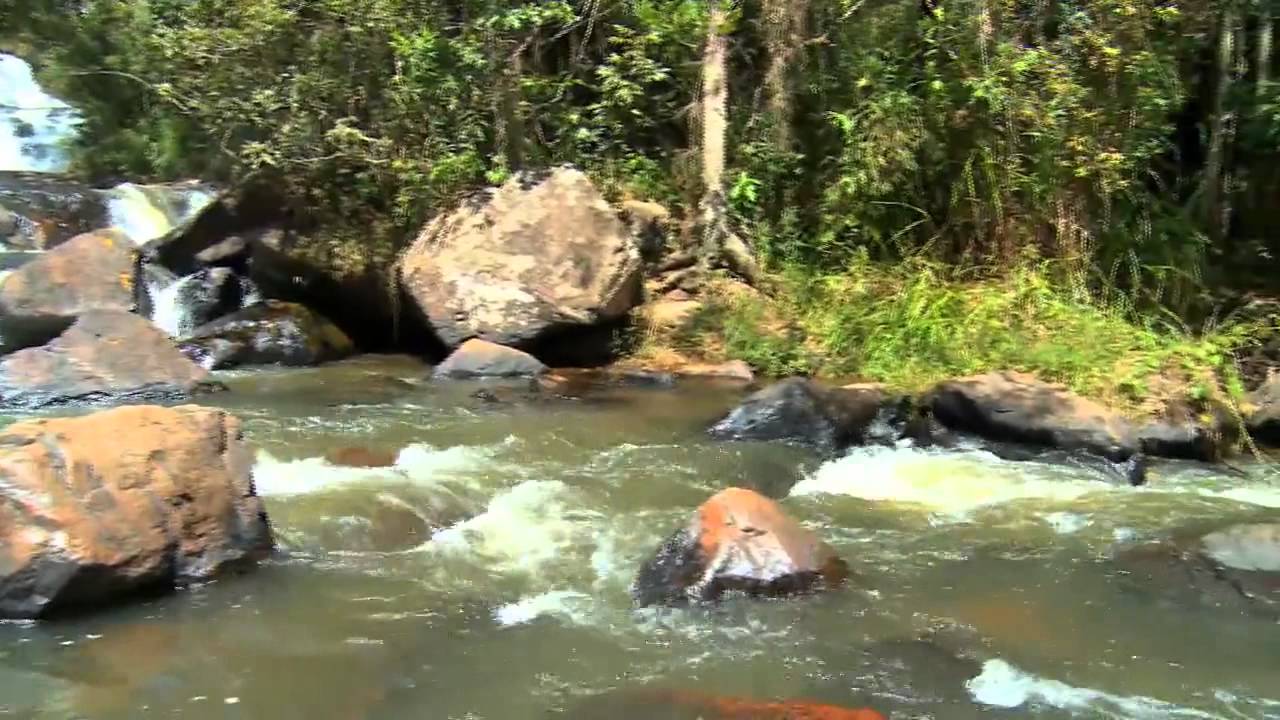 O LOBISOMEM DE ARCEBURGO