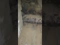 الوصول الي باب المقبرة الفرعونيه وأمامه جثه محنطه الوصول الي باب المقبرة الفرعونيه وأمامه جثه محنطه
