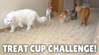 ¡El juego de postre muy delicado para gatos! screenshot 3