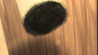 DIY Low Pressure Aeroponics & Rick Simpson Oil Results
