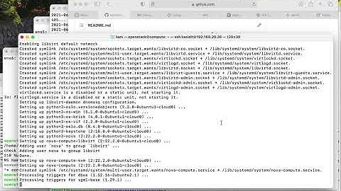 OpenStack Victoria Installation (Scripts) 13: nova compute