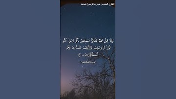 المنافقون بصوت القارئ الحسين عبدرب الرسول #القرآن_الكريم #اكسبلور#المصحف #غزة_النصر#غزة_بتفرح