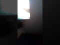 Bruno entró a un portal oscuro!!