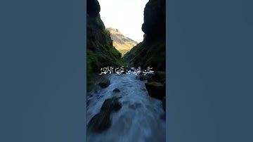 "وَعَدَ اللَّهُ الْمُؤْمِنِينَ وَالْمُؤْمِنَاتِ جَنَّاتٍ(سورة التوبة: 72) القرآن Quran المنشاوي