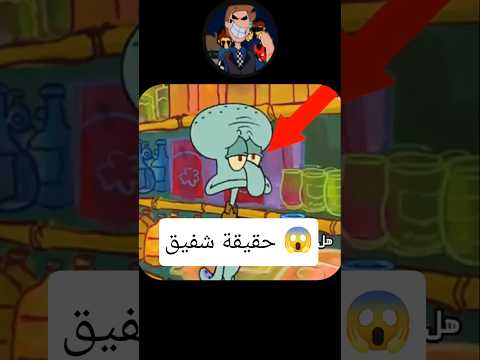 حقيقة شفيق في سبونج بوب