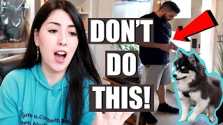 PET YouTuber Reacts To VIRAL Animal Videos | Emzotic