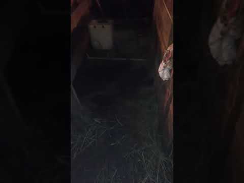 Уровневые поилки для