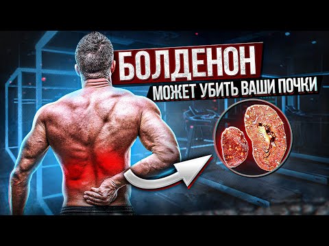 Болденон (Эквипойз) - эффекты, побочки, дозировки, курс