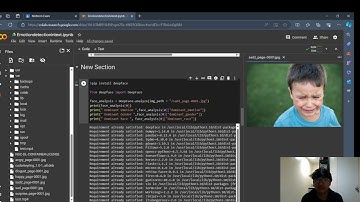 Emotion Detection via Text, Image, and Video work (midterm exam), by Seredilla, Iven felix.