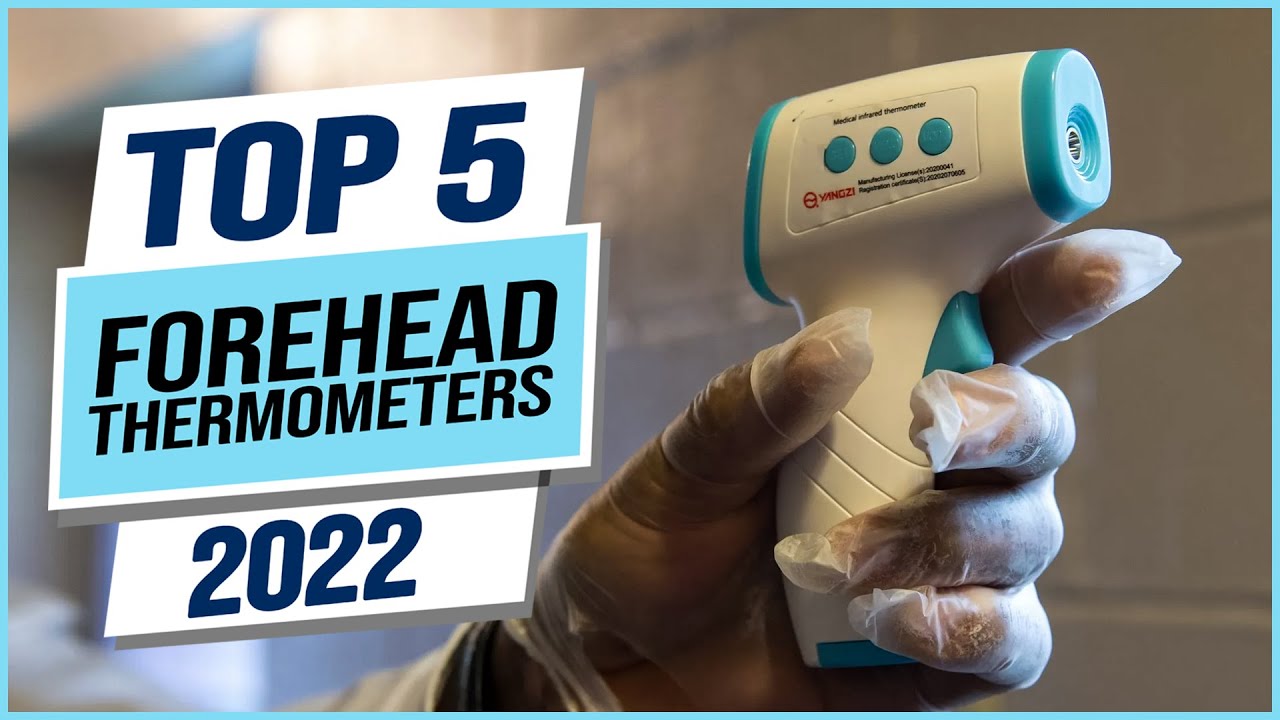 The 13 Best Thermometers of 2023, Tested and Reviewed