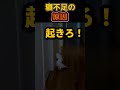 寝かせてくれ頼む。