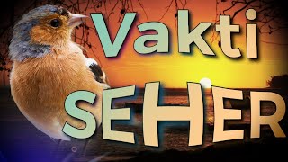 Cuşa Gelir Dağ İle Taş - VAKTİ SEHER | GÜL BAHÇEM MÜZİKSİZ İLAHİLER Resimi