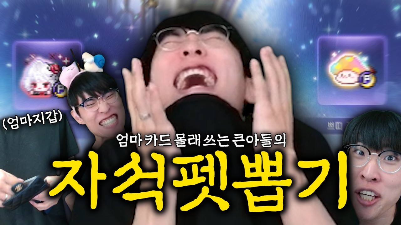 엄마 카드 써서 돈 버는 게임 [메이플 자석펫]