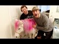 SURPRISING FRIENDS WITH A REAL PONY!!