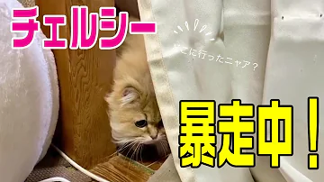 遊びの時間は終わらない Mp3 遊びの時間は終わらない Mp3