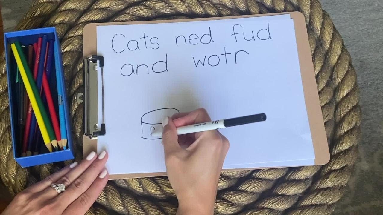 Informational Writing - 1st Grade English Language Arts | Let's Learn GA!