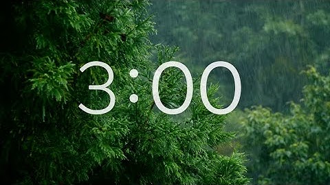 3 Minute Timer RELAXING RAIN and NATURE