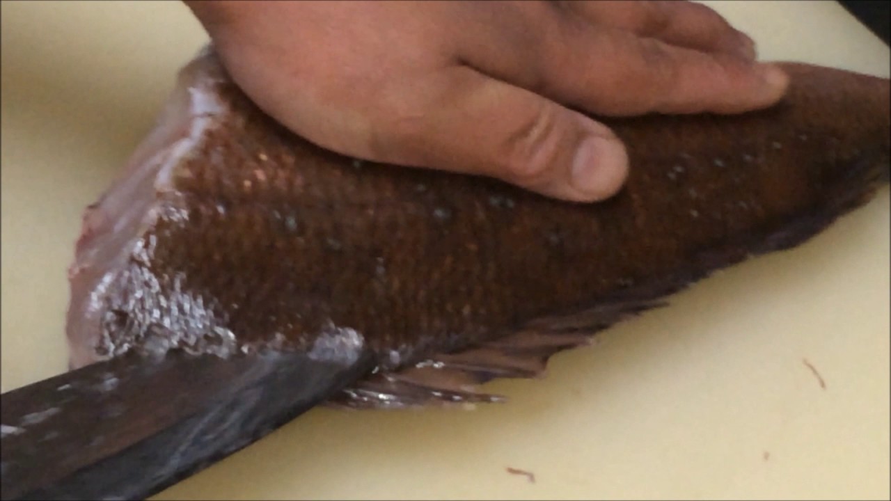 『真鯛捌き方」（鱗付のまま捌く）