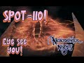 Neverwinter Nights: EE - The eyes of a hawk, the sting of a... flamingo? | Mirage PvP