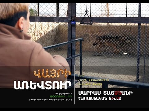 Վայրի առևտուր․ ֆիլմ վայրի կենդանիների միջազգային առևտրի և Հայաստանի մասին