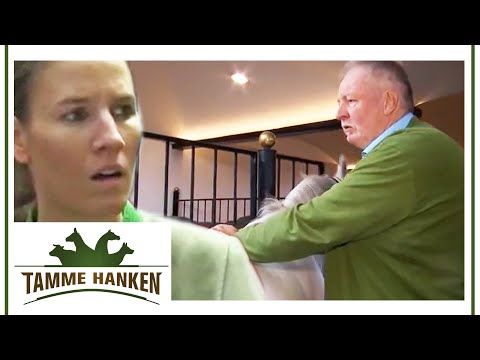 Zauberei? Tamme kann Pferden Schmerzen entziehen! | Tamme Hanken | Kabel Eins