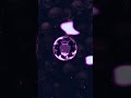 MONTAGEM ALQUIMIA   SLOWED       phonk music 192k 01