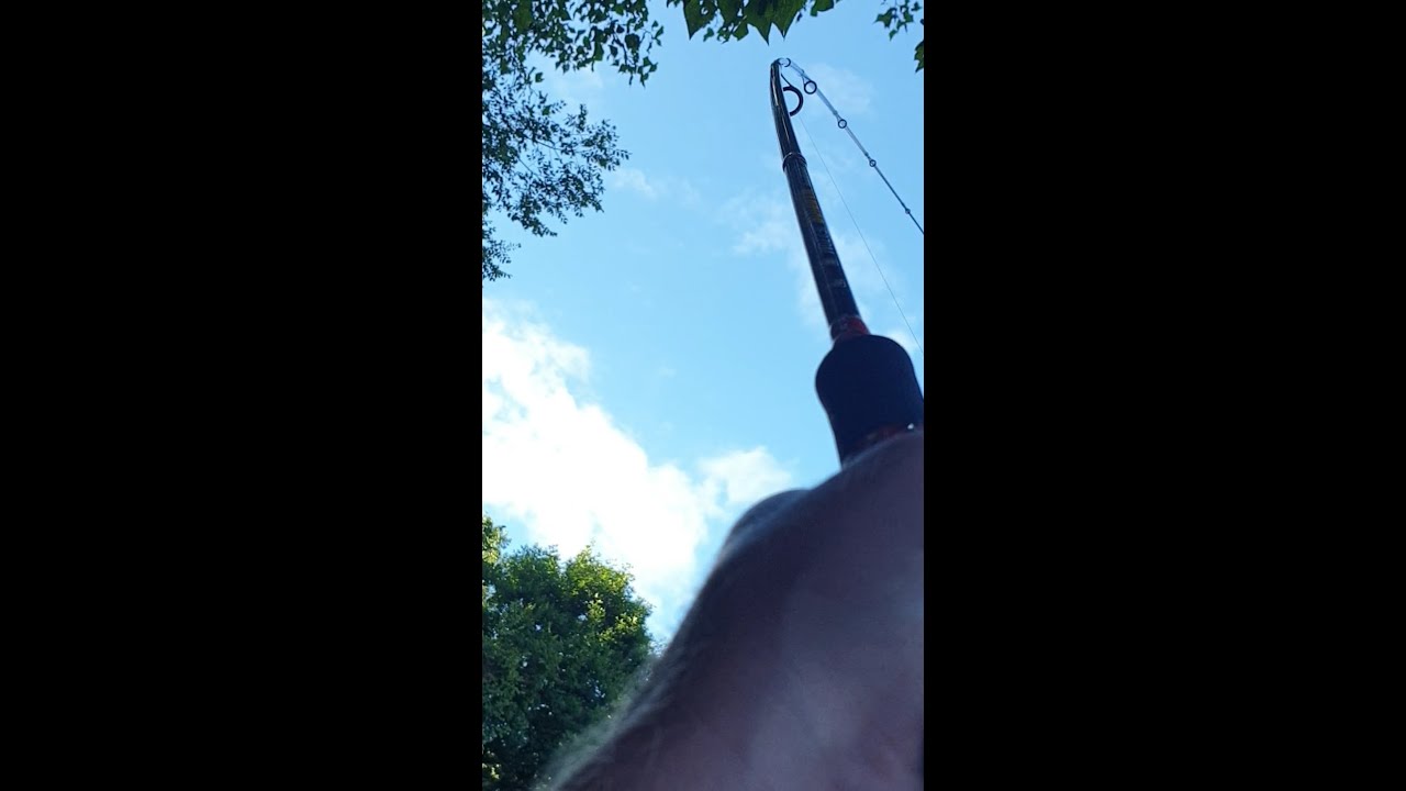 Angeln am Rhein Juli 2025 Spinnfischen auf Barsch На реке Рейн рыбалка Франция