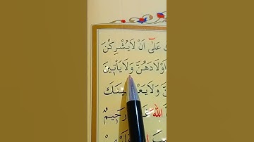 سورة الممتحنة الأية 12 القارئ سعد الغامدي
