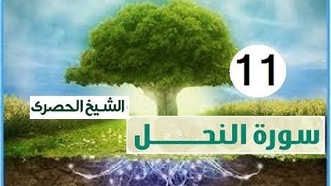 ‏المصحف المعلم الشيخ الحصري  سورة  النحل الجزء الرابع عشر الوجه16