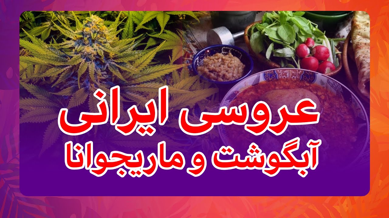 عروسی ایرانی: آبگوشت و ماریجوانا! Iranian Wedding: Abgoosht and Marijuana!
