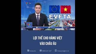 Thời sự VTV 20231008 2
