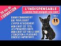 COMMENT ÉDUQUER SON CHIOT - L'INDISPENSABLE