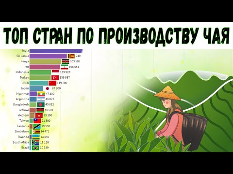 Топ 20 стран по производству чая | Выращивание чая в Китае, Индии... | Рейтинг стран по сбору чая