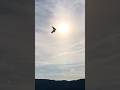 A Sunny and Soarable Saddle Mtn #freeflight #hanggliding #mountains #aladelta