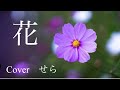 花 中孝介 フルCover せら #歌ってみた #森山直太朗 #歌い手