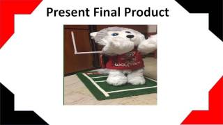 Wolfatronics E101   Final Video Presentation