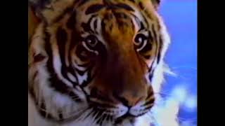 Federal Express Flying Tiger Line Merger Commercial