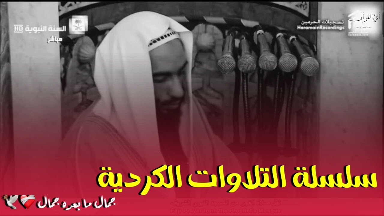 إصـدار سلسلة التلاوات الكردية ، للشيخ أحمد بن طالب ، جمال ما بعده جمال ❤️‍🩹