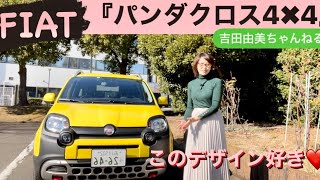 可愛すぎる❤️ 欲しすぎる❤️ フィアット『パンダクロス4✖︎4』#吉田由美ちゃんねる　#yumiyoshida FIAT PANDACROSS4✖︎4