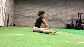 Dynamic Roll over to Straddle Stretch