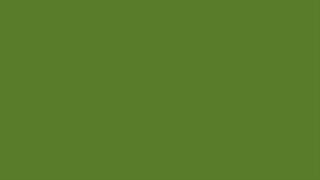 sap green (Image color before encoding - R:89 G:124 B:43)