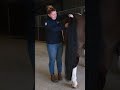 How to... take a horse's temperature