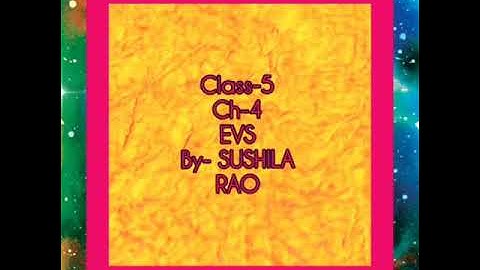 Class-5(E.V.S) Ch-4(Let